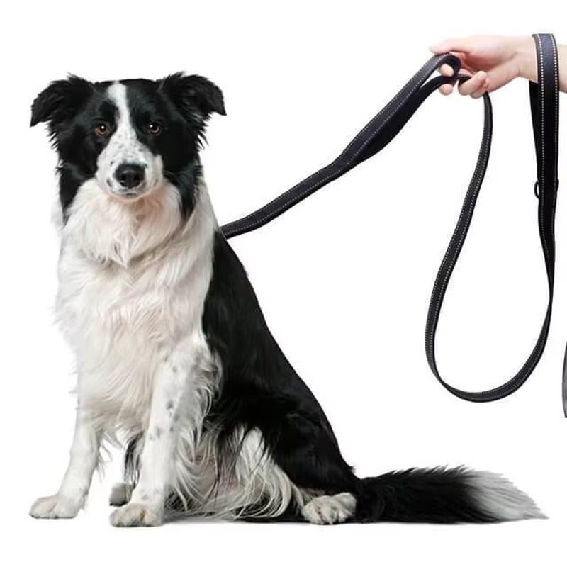 Long Traffic Padded Two Handle Heavy Duty Nylon Dog Leash for Training Control Double-Sided Reflective Night Safety